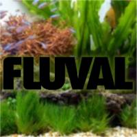 Fluval_logo_500x500-1